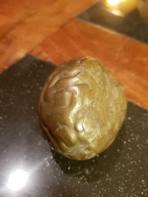 Cast Bronze Brain Shape Paper Weight