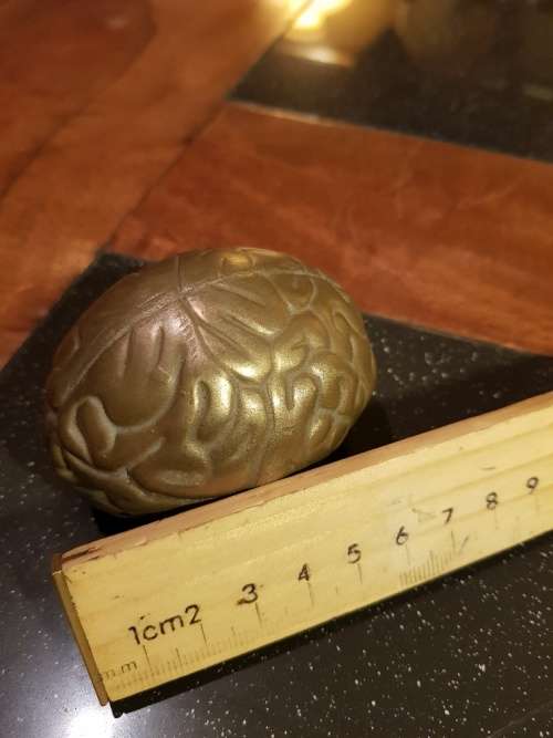 Cast Bronze Brain Shape Paper Weight
