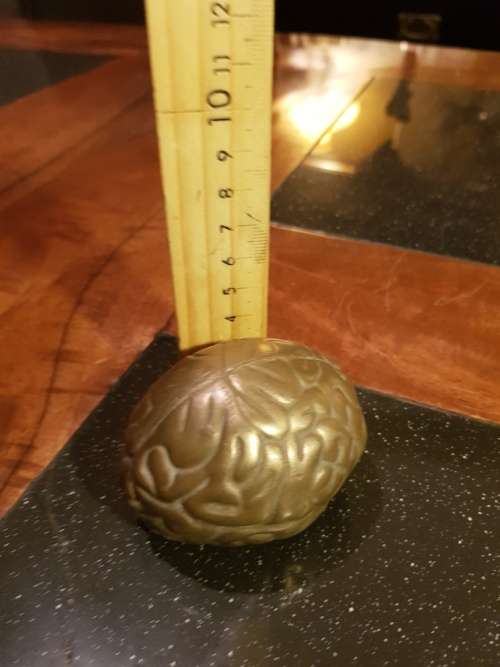 Cast Bronze Brain Shape Paper Weight
