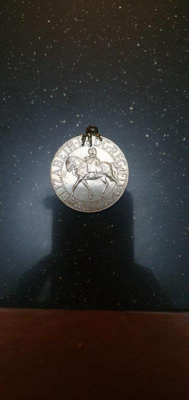 Vintage 1972 Elizabeth 2 Coin