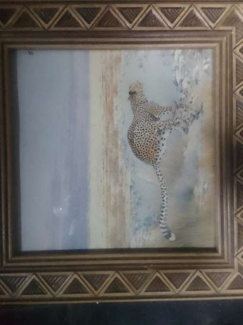 The legendary Cheetah. 3D painting under solid wood frame and glass.
