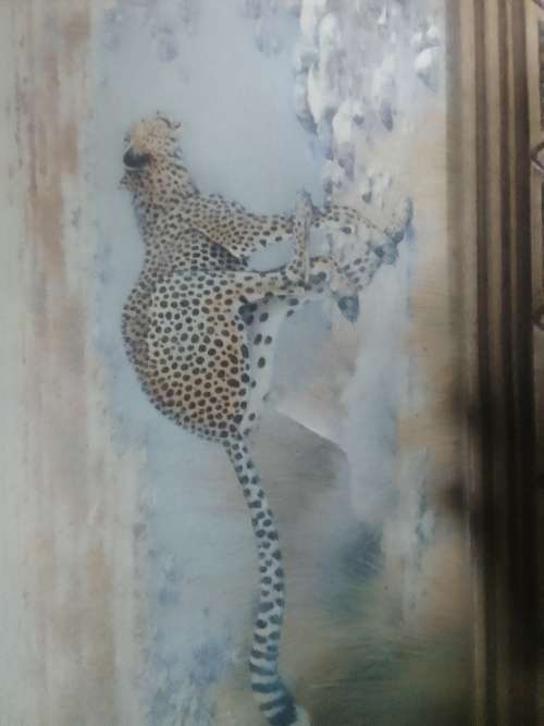 The legendary Cheetah. 3D painting under solid wood frame and glass.
