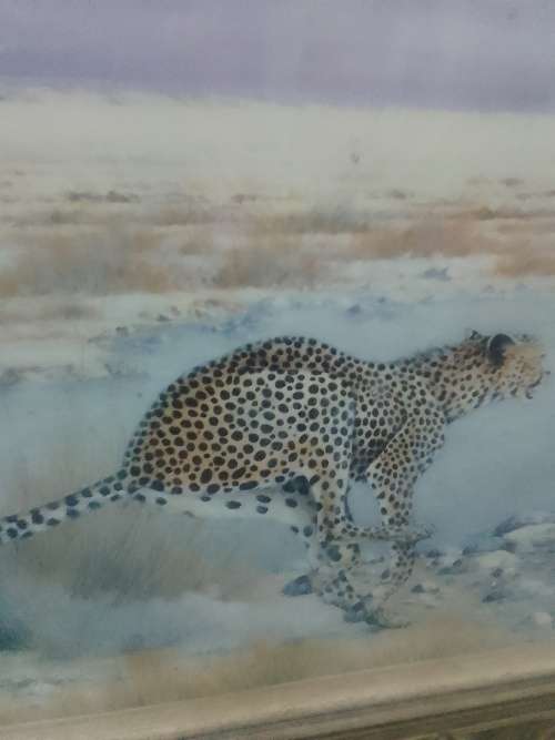 The legendary Cheetah. 3D painting under solid wood frame and glass.