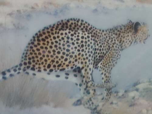 The legendary Cheetah. 3D painting under solid wood frame and glass.