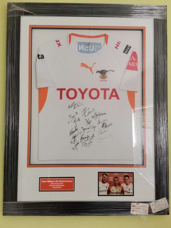 Professional Cheetahs Rugby Jersey.