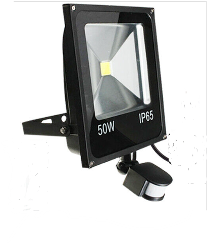LED Motion Sensor Floodlights: 50W PIR Motion Sensor 220V.
