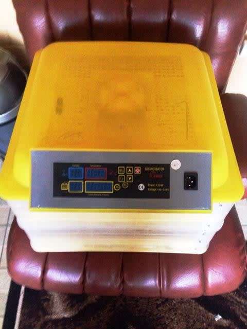 112 Egg Automatic Incubator