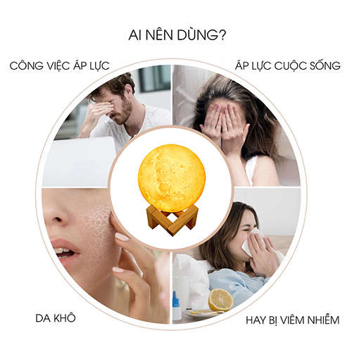 3D LED Moon Lamp Aromatherapy Essential Oil Diffuser Air Purifier Fog Machine Bedroom Decoration Nig