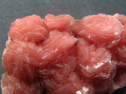 Rhodochrosite. Wessels Mine, Northern Cape, South Africa. 6gr.