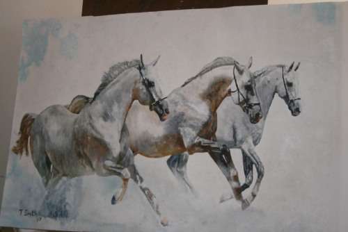 Lets race Theunis Smith.Top Art...INVEST NOW Like it? Make an offer