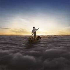 Pink Floyd Endless River (LP)