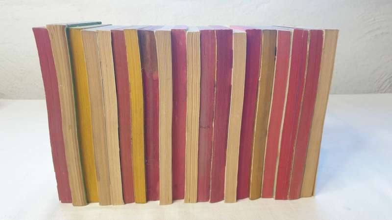 Erle Stanley Gardner - Book Bundle 1 - 20 Titles