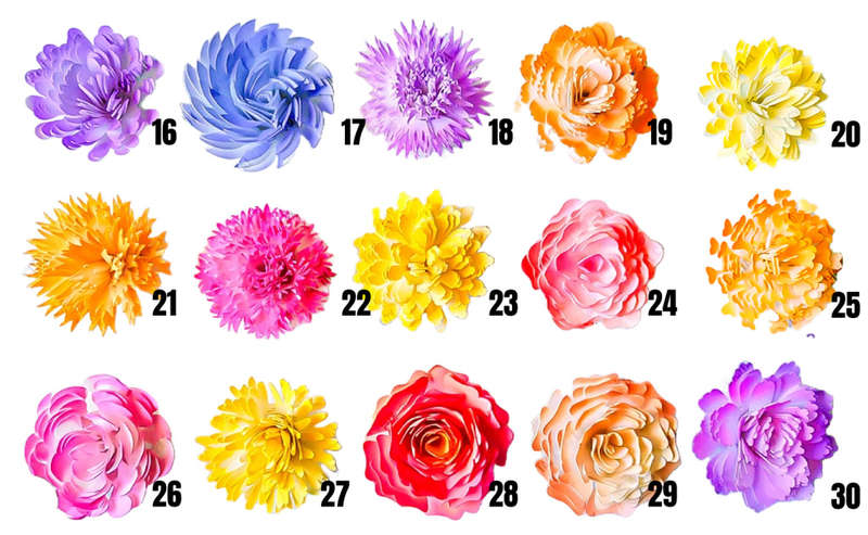 PAPER FLOWER DESIGNS :  SVG FILES FOR CRICUT / MAKER 3 / CIRICUT EXPLORER