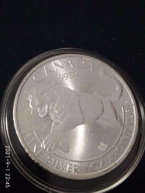 2016 1 OZ SILVER COUGAR ( HAS MILK SPOTS )