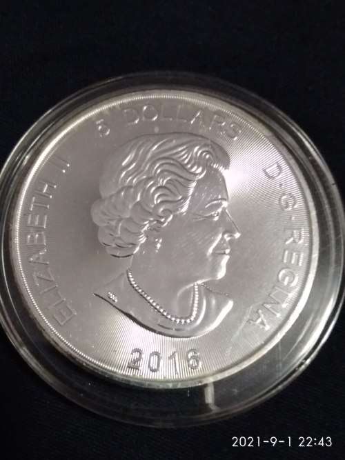 2016 1 OZ SILVER COUGAR ( HAS MILK SPOTS )