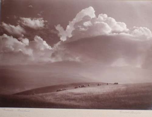 VINTAGE-ORIGINAL SIGNED PHOTO PRINT,PASTORAL PONDOLAND,55  AWARD WINNING PHOTOGRAPHER GORDON DOUGLAS
