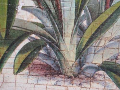 VINTAGE EFFECT - BEAUTIFUL ANTIQUED PRINT OF SLIPPER ORCHIDS IN FABULOUS ORNATE FRAME.