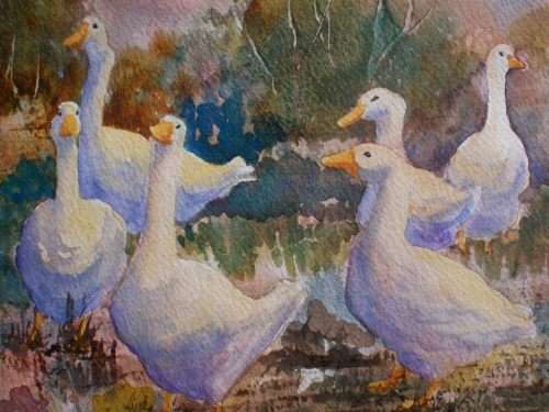 FABULOUS ORIGINAL MARGARET GIBBS WATERCOLOUR `GEESE` EXCELLENTLY EXECUTED, WELL FRAMED - BARGAIN!