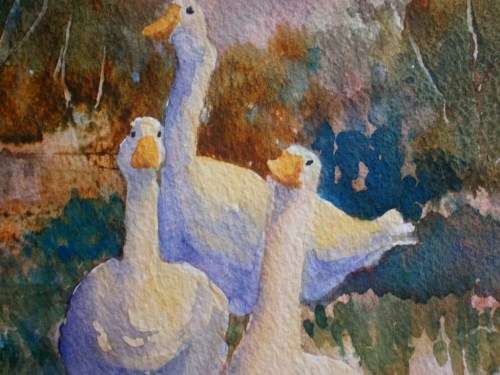 FABULOUS ORIGINAL MARGARET GIBBS WATERCOLOUR `GEESE` EXCELLENTLY EXECUTED, WELL FRAMED - BARGAIN!