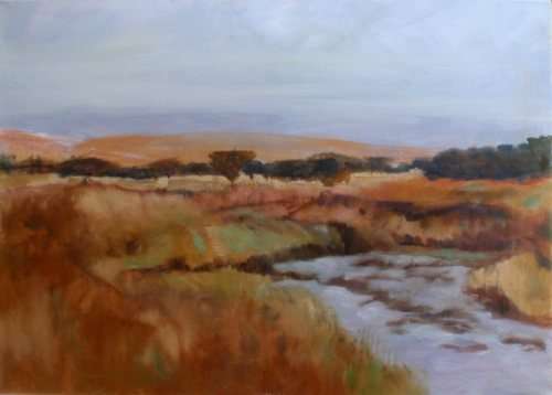ORIGINAL OIL - SOUTH AFRICAN LANDSCAPE - CANVAS ON STETCHER FRAME READY TO HANG.