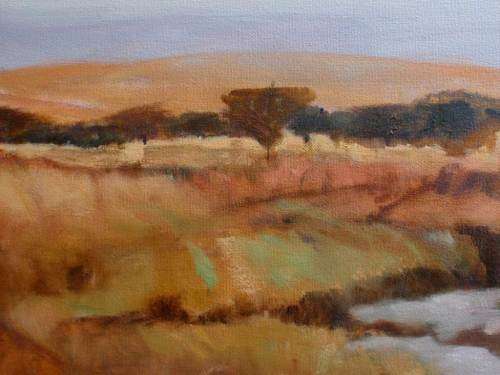ORIGINAL OIL - SOUTH AFRICAN LANDSCAPE - CANVAS ON STETCHER FRAME READY TO HANG.