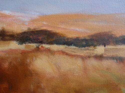 ORIGINAL OIL - SOUTH AFRICAN LANDSCAPE - CANVAS ON STETCHER FRAME READY TO HANG.