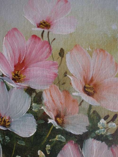 Cosmos - the most delicate original oil painting of these wild flowers - signed and framed.
