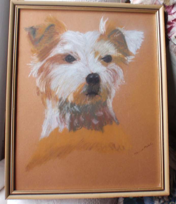 Original art, doggy pawtrait `How much is that doggy in the window` pastels.  Malcolm Miller.