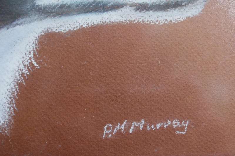 Vintage original doggy pawtrait signed P.M.Murray. Pastels framed behind non-reflective glass