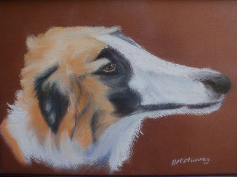 Vintage original doggy pawtrait signed P.M.Murray. Pastels framed behind non-reflective glass
