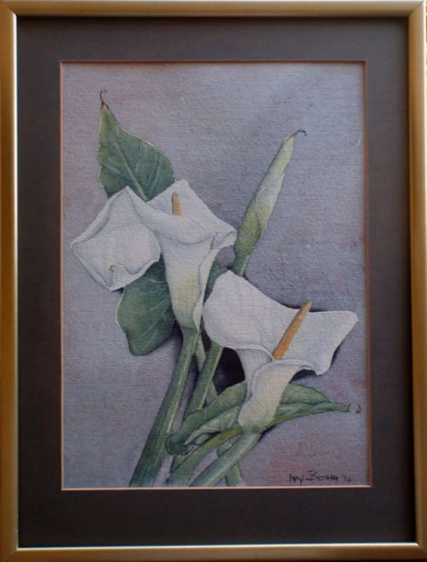 Vintage, the most beautiful original watercolour by Ivy Botha - Arum Lilies.  Dated 1974