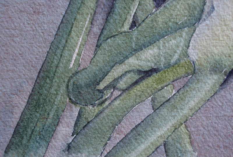 Vintage, the most beautiful original watercolour by Ivy Botha - Arum Lilies.  Dated 1974