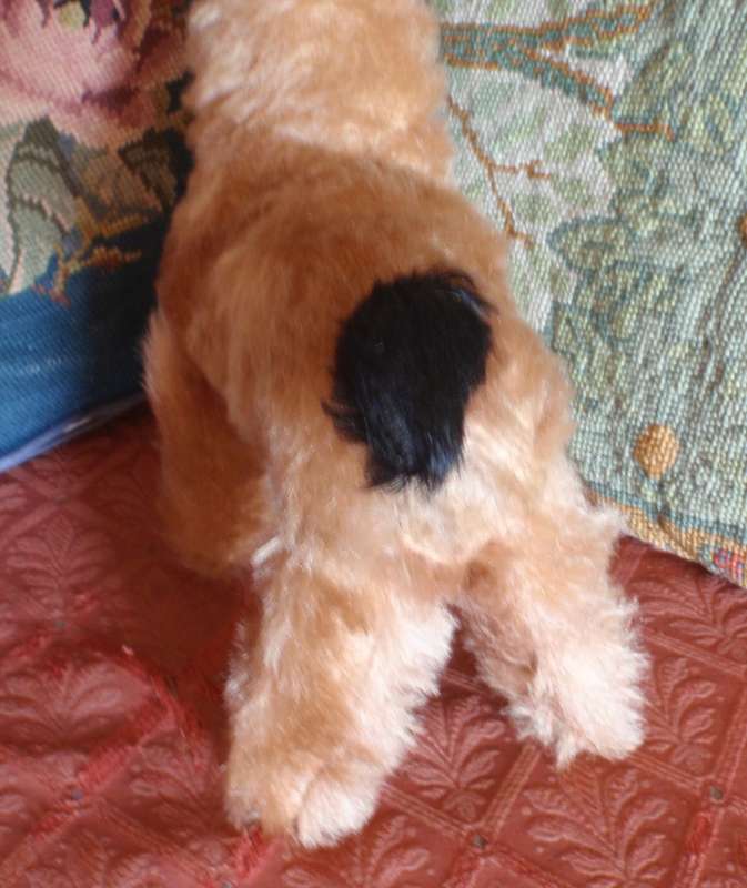 Antique toy dog `Terrier` Adorable authentic, collectible item. Real character piece for collector.