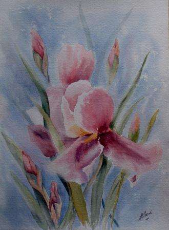 BEAUTIFUL ORIGINAL WATERCOLOUR PAINTING - 'PINK IRISES'