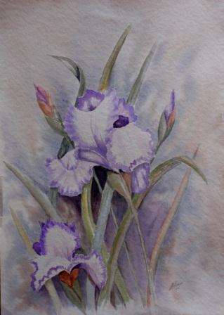 BEAUTIFUL ORIGINAL WATERCOLOUR PAINTING - LILAC IRISES