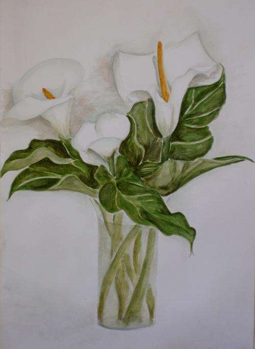 ORIGINAL WATERCOLOUR 'ARUMS IN GLASS VASE' BEAUTIFUL!  BARGAIN PRICE FOR ORIGINAL ART!!!