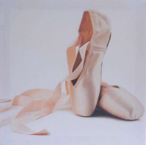 BALLET SHOES - BEAUTIFUL PRINT ON BOXED CANVAS - READY TO HANG!