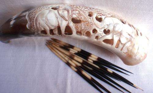 OUT OF AFRICA DECOR!!!  BEAUTIFULLY CARVED HORN PLUS TEN PORCUPINE QUILLS!!! INCREDIBLE CRAFTMANSHIP