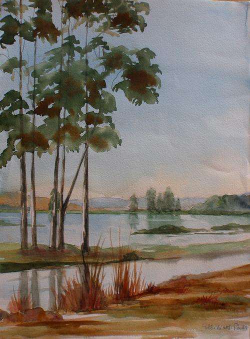 LOVELY ORIGINAL WATERCOLOUR - "TALL TREES" SIGNED BY ARTIST - BARGAIN!!!