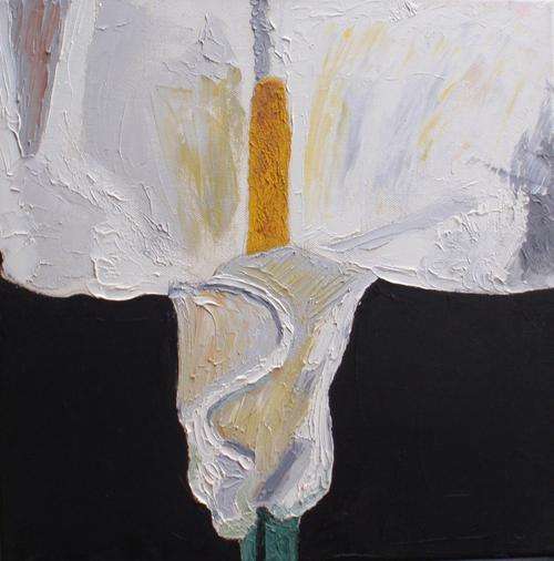 BOLD & BEAUTIFUL, PRICE REDUCED - ORIGINAL OIL ON CANVAS (THICK PALETTE KNIFE) 'ARUM'  -  BARGAIN!!!