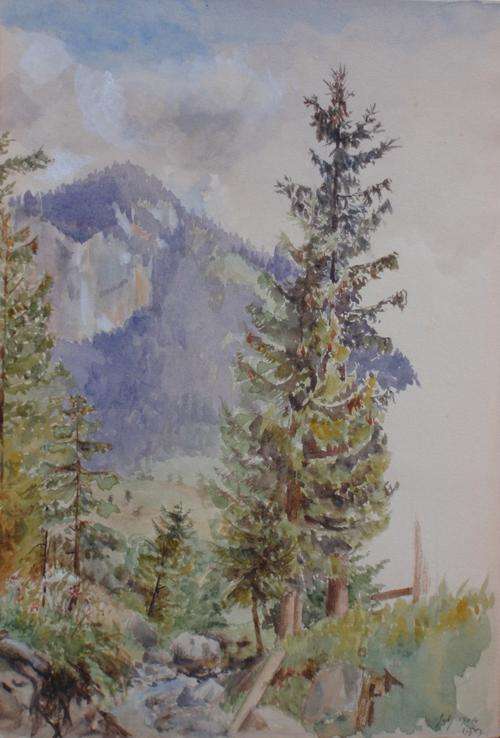 ANTIQUE ORIGINAL WATERCOLOUR - 1904 SIGNED BY ARTIST 'W.M.'  SWISS FOREST - REALLY AMAZING OLD PIECE