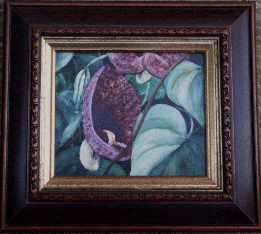 PAIR OF EXOTIC,ORIGINAL BOTANICALS BY ARLENE McDADE - `DUTCHMAN`S PIPE 1 and 2` - LOVELY FRAME