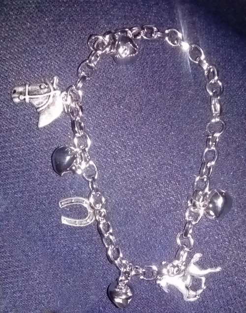 HorseGirl Inc - Stunning horsey charm bracelet