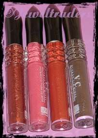 4 SHIMMERING Lipgloss (Various Colours)