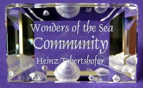 SWAROVSKI CRYSTAL PLAQUE FOR ANNUAL EDITION COMMUNITY  BOXED RETIRED RAR