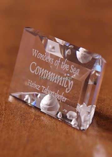 SWAROVSKI CRYSTAL PLAQUE FOR ANNUAL EDITION COMMUNITY  BOXED RETIRED RAR