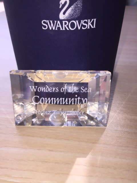 SWAROVSKI CRYSTAL PLAQUE FOR ANNUAL EDITION COMMUNITY  BOXED RETIRED RAR