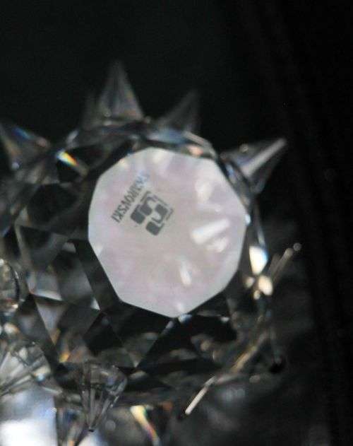 Swarovski Crystal Medium Hedgehog 7630 NR 040 000 #