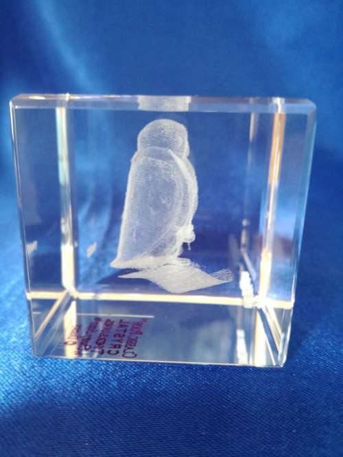Owl Crystal Paperweight 3D Beatrix Potter 56463 By Country Artists *