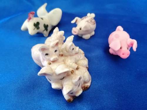 Sweet group of Pigs Piglets and piggies